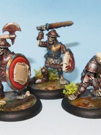 undead skeleton troops