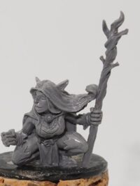 Onica Silver Leaf-Wood Elf Shaman